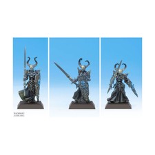 Rackham Confrontation Acheron 1st Ed Black Paladins Pack NM