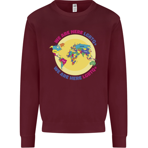 Sudadera jersey We Are Here LGBT para hombre - Imagen 6 de 29