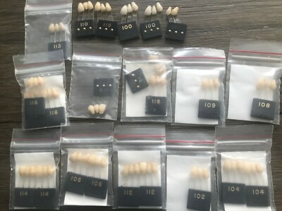 Dentsply Trubyte Bioblend Shade Guides | eBay