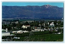 Bird's Eye View Of University Campus Loma Linda San Francisco CA Postcard