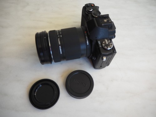 OLYMPUS OM-D-EM5 - Foto 19 di 20