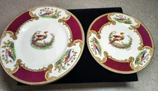(2) Plates - MYOTT "Chelsea Bird Red"  Plates, 8" & 6.25" Discontinued in 1955