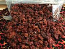 REAPER X 500 WHOLE DRIED PEPPER PODS 33% hotter than standard Carolina Reaper XX