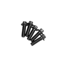 5/16" Black Stainless Steel Front Brake Rotor Bolts for Harley Dyna FXD/I FXDF 