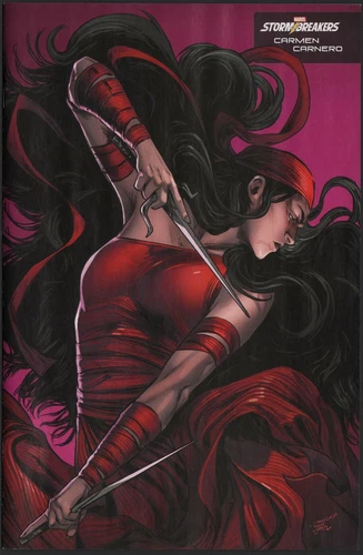 Daredevil Woman Without Fear #3 Stormbreakers Variant cover NM New Punisher Logo