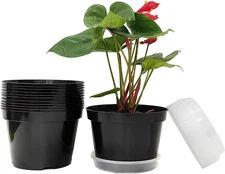 12 Pack Plant Pots, 8 Inch Plant Planter with Clear Saucer, Plastic Pots for Pla