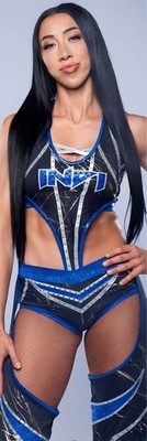 WWE TNA GIANT 2 X6  VINYL BANNER - INDI HARTWELL
