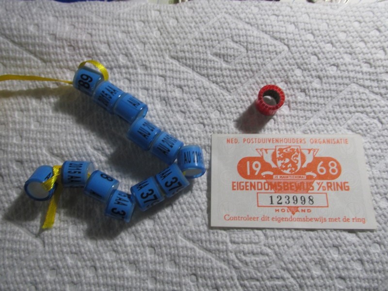 AU racing pigeon bands collectables (2015) plus a  1968 Holland band with card 