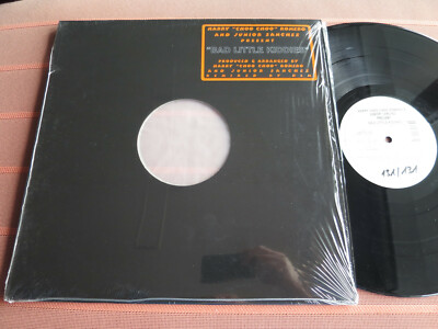 HARRY CHOO CHOO ROMERO & JUNIOR SANCHEZ   BAD LITTLE KIDDIES 12  Maxi Vinyl 1996