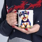 Bild 10 von 11