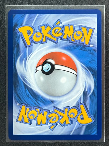 Litleo 023/132 Reverse Holo Common Mega Evolution - Pokemon TCG - Near Mint NM - Picture 2 of 4