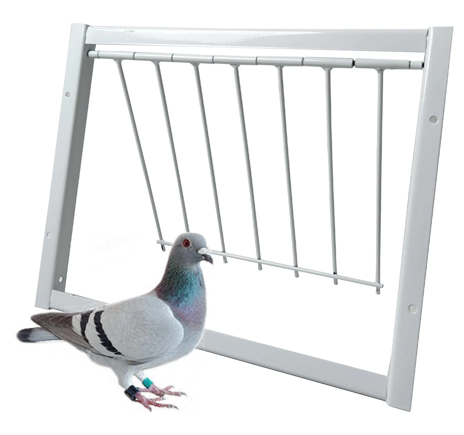 Pigeon Trap Loft Door with Steel Frame, Pigeon Doors Trap Rust Resistant Bird...