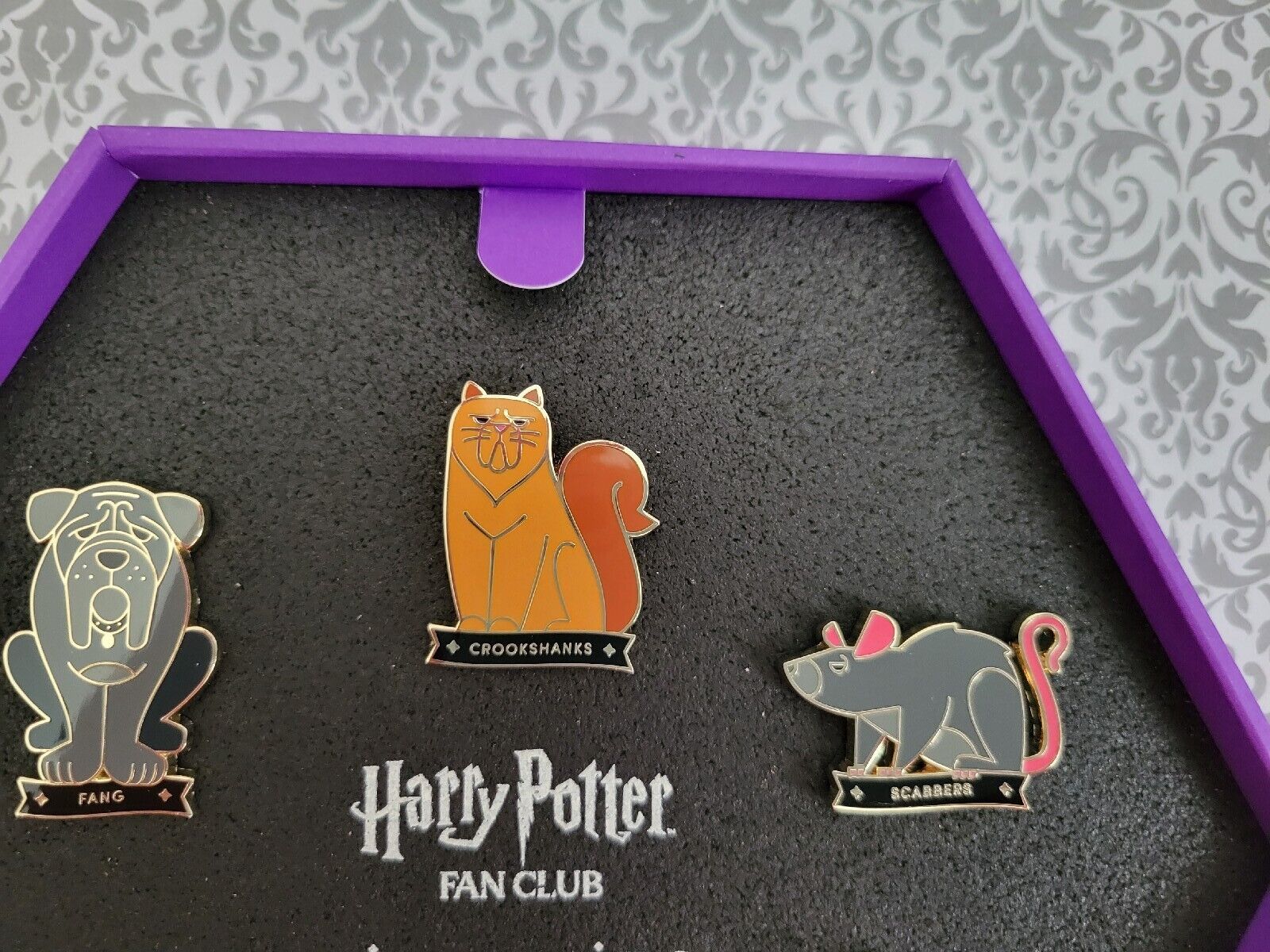 Wizarding World of Harry Potter Announces Fan Club Pin Collection - Inside  the Magic