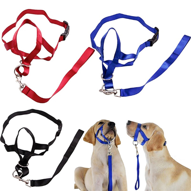 Dog Harness Muzzle Anti Bite Halter Leader Belt Head Collar Strap Training  Leash