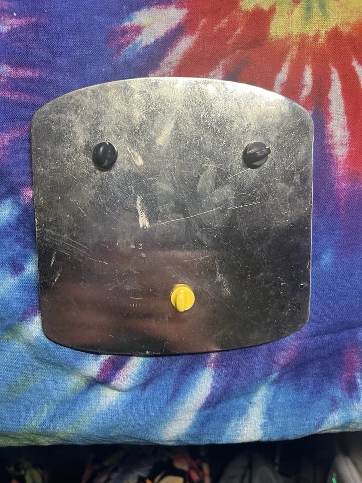 Prendedor de estadio coleccionable Serie Mundial de Pequeñas Ligas 2010 Foto 4 de 4