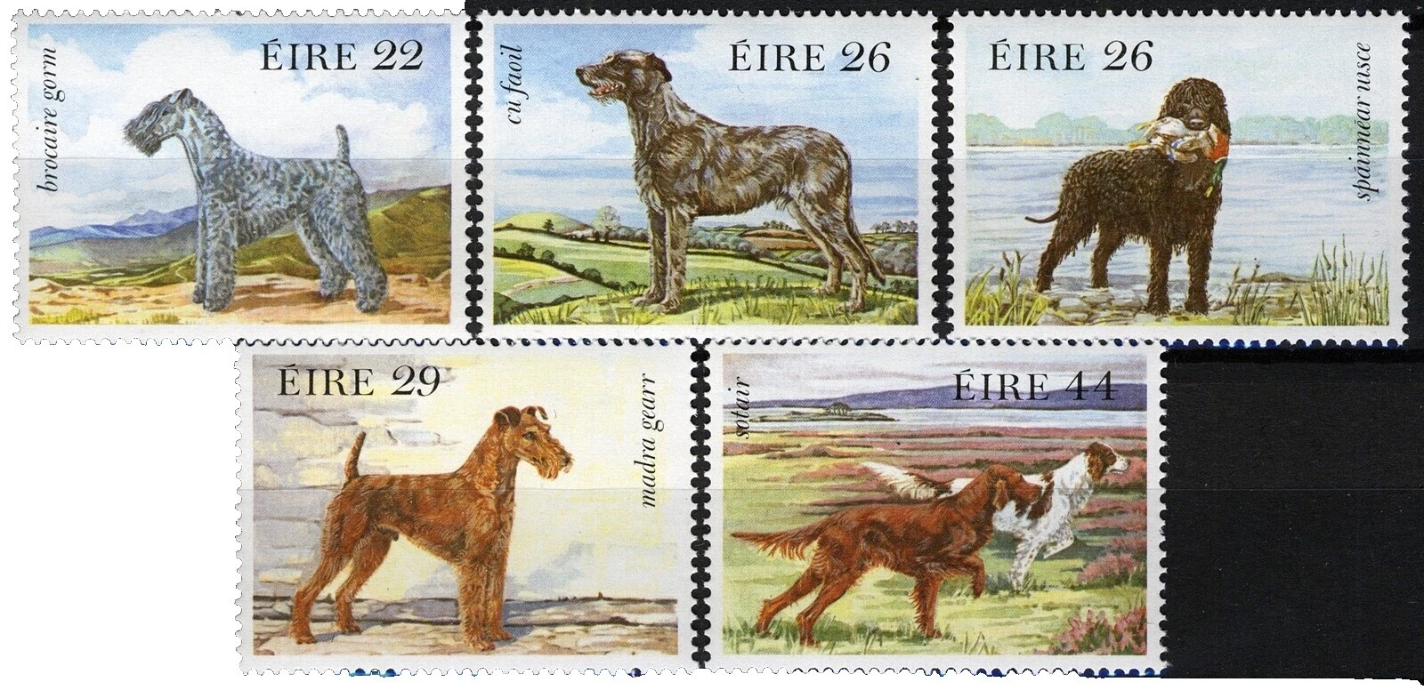 En excelente estado nunca abisagrado/estampillada sin montar o nunca montada Perros sellos de IRLANDA