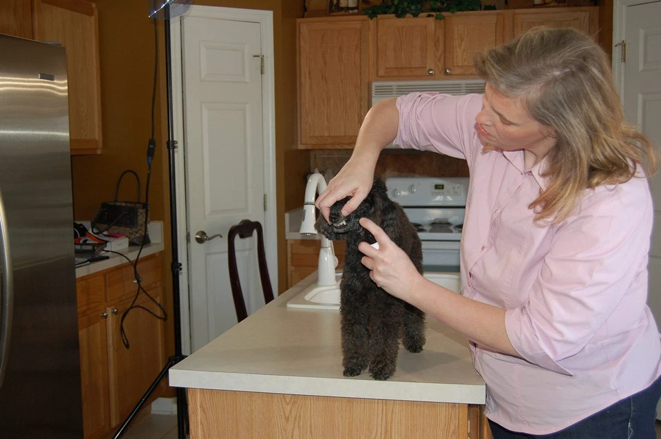 Spray dental para mascotas, control de placa y sarro para perros y gatos Foto 2 de 4