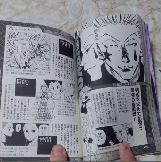HUNTER x HUNTER Hunter's Guide Character & World Official Data