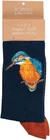 Wrendale Designs Men's Bamboo Size 6-11 Socks : Kingfisher