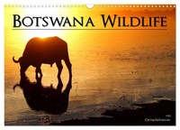 "Calendar 2027 · US Version · Botswana Wildlife (Wall Calendar 2027 17\" × 12\" Lan"