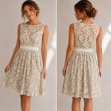 Adrianna Papell Lace Dress Ivory A-Line Sleeveless 10 Romantic Wedding Guest