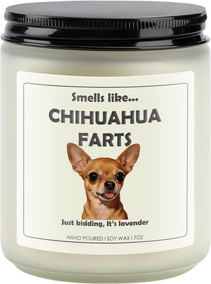 Chihuahua Gifts for Women, Chihuahua Gifts & Decor, Chihuahua Stuff, Dog Farts C