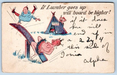 1909 IF LUMBER GOES UP WILL BOARD BE HIGHER? NATIVE AMERICAN INDIANS POSTCARD