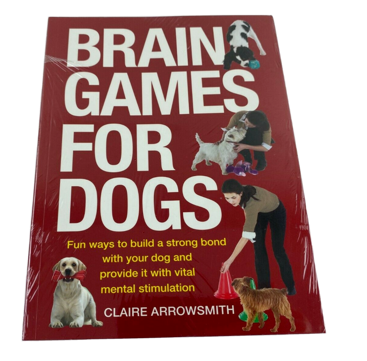 Brain Games for Dogs Fun Ways to Build a Strong Bond with Your Dog and Provide It with Vital