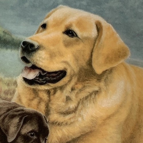 Franklin Mint ‘First Encounter’ Plate by Nigel Hemming – 22ct Gold - Picture 9 of 12