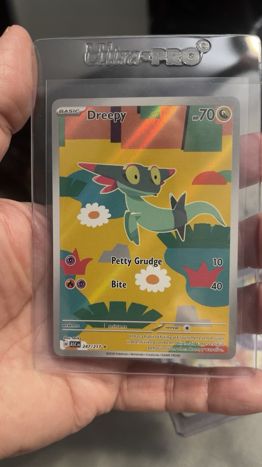 Dreepy 247/217 Me: Ascended Heroes Holo Illustration Rare Pokemon TCG NM