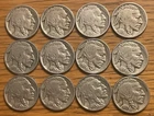 BUFFALO Nickel: Starter Set, 1926-1937: VG-VF, PDS Mints, Lot of 12 Different
