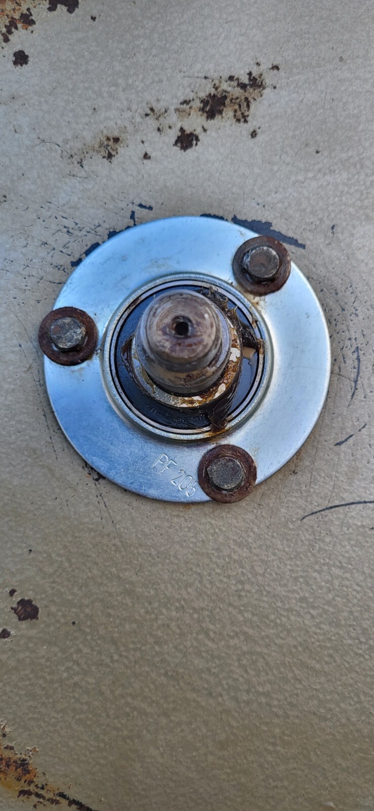 Picture 19 of 21