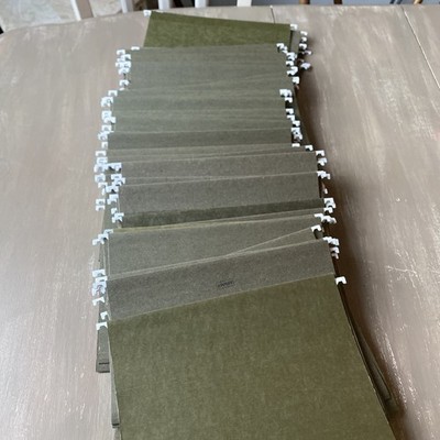 Letter Size Hanging File Folders, No Tabs, Standard Green, 100/Box