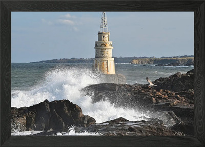 Leuchtturm an Felsenküste und Seagu gerahmtes Wandbild Poster Leinwanddruck Bild