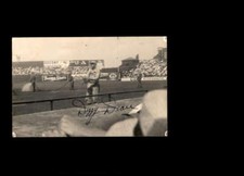 St. Louis Cardinals Collecting and Fan Guide 77