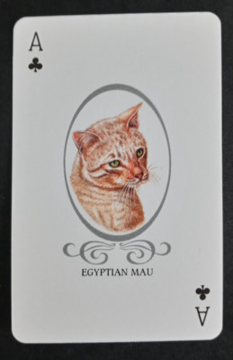 Cat Lovers Playing Card Red Back Egyptian Mau Ace Clubs