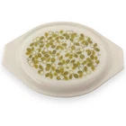 Pyrex Olive Verde Green Divided Casserole 943 C Vintage Replacement Lid Only