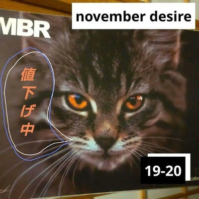 november desire snowboard 152cm cat design | eBay
