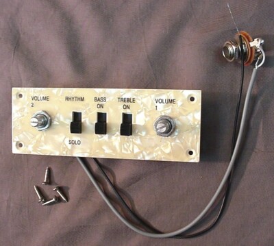 SLIDING SWITCH CONTROL PLATE FOR REPAIRS TO HOFNER GUITAR | eBay