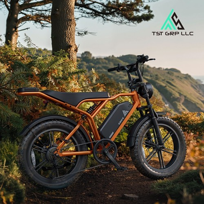 #ad Adult 20quot; Fat Tire Mountain Bicycle Electric Bike 1500W Peak 15Ah Battery E Bike $359.99