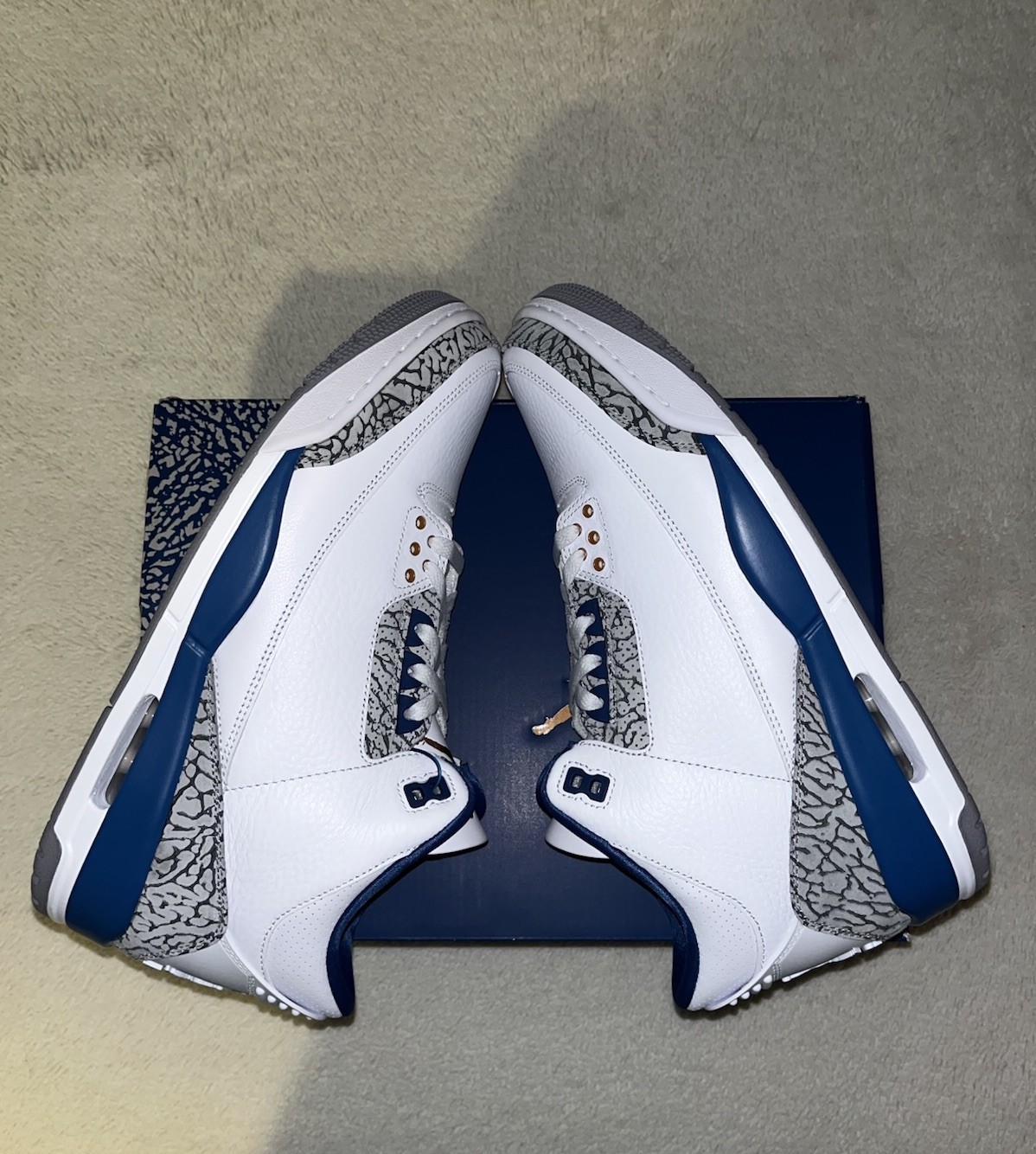 Jordan 3 Washington Wizards Sample Size 11.5 Very RARE Brand New + Developer Box