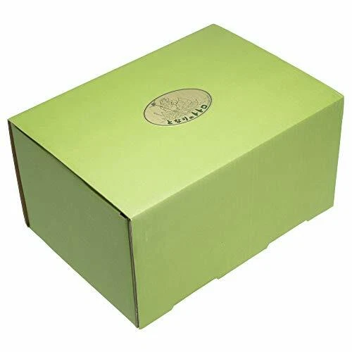 Noritake Osso Cina il Mio Vicino Totoro Teiera Con Tè Colino 600cc 07281 Jpn - Foto 3 di 6