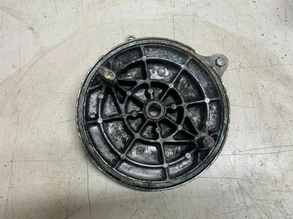 Placa de respaldo de freno trasero Yamaha Virago 700 OEM Foto 2 de 2