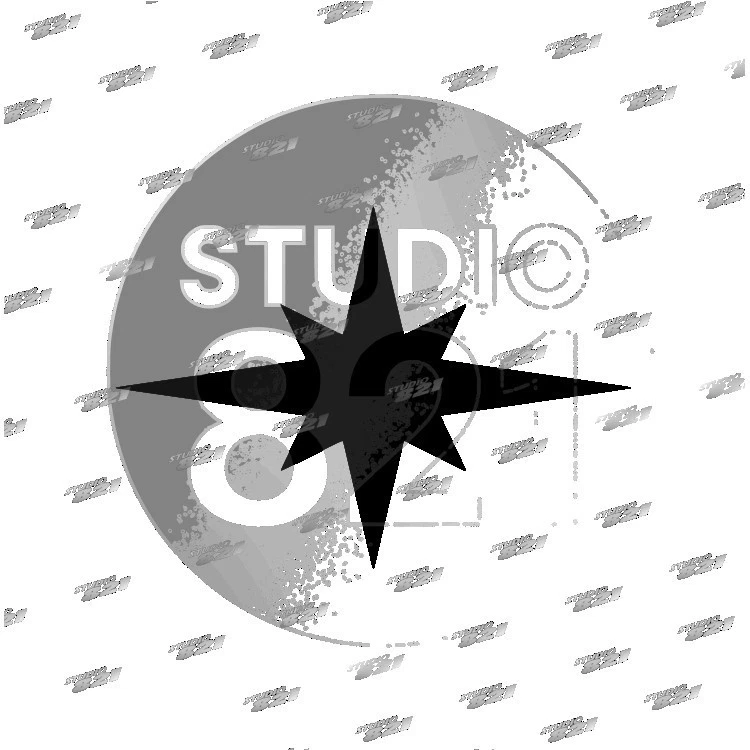 Calcomanía adhesiva de vinilo POLARIS Star - troquelada deportes al aire libre ATV OEM ENVÍO GRATUITO Foto 2 de 4