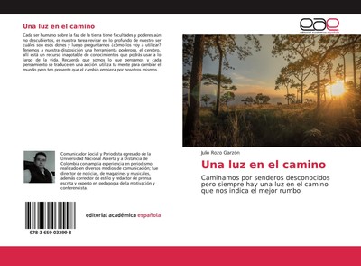 Una luz en el camino Julio Rozo Garzón