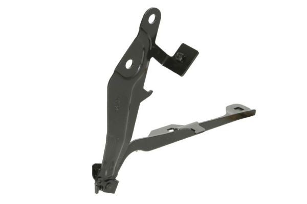 both sides BLIC 6802-00-2589451P Hinge, bonnet for FORD USA