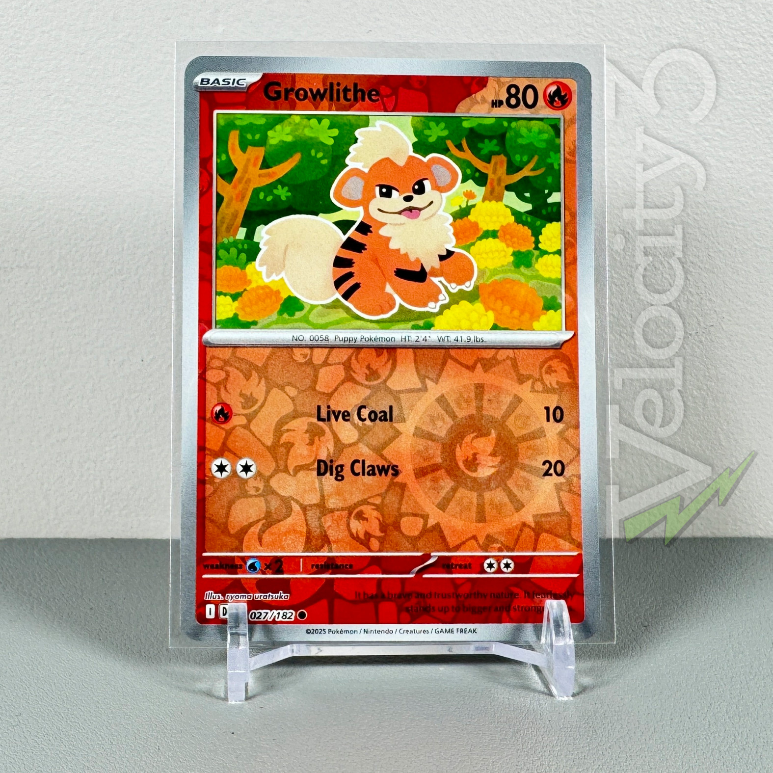 Pokemon TCG Card - Growlithe 27/182 Reverse Holo | Common | 2025 Destined Rivals