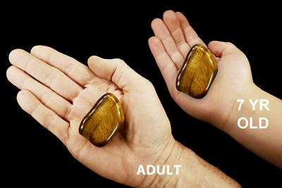 TIGERS EYE 1 1/2'' Tumbled Polished Rock Mineral Chakra Healing Crystal Gemstone