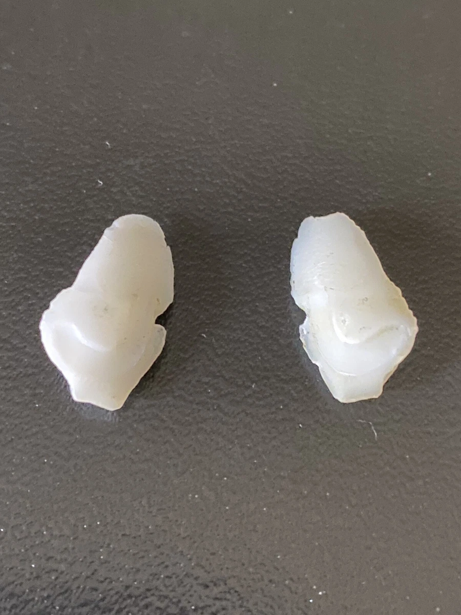 White Sea Bass Stones For Jewelry eBay