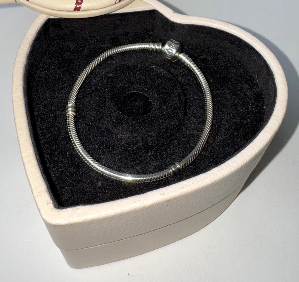 Pandora Auténtico 925 Plata de Ley Momentos Retirados Dije Pulsera 7.5 Pulgadas Foto 2 de 2